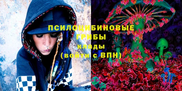 ешки Верея